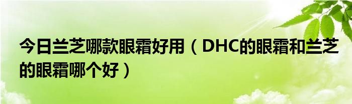 今日兰芝哪款眼霜好用（DHC的眼霜和兰芝的眼霜哪个好）