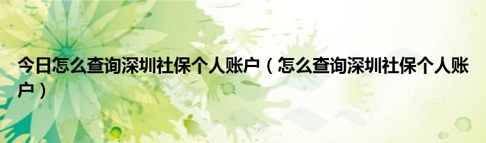 今日怎么查询深圳社保个人账户（怎么查询深圳社保个人账户）