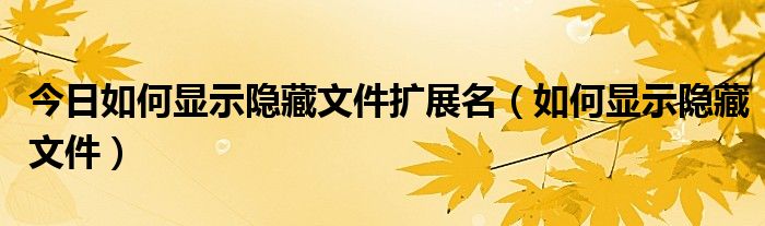今日如何显示隐藏文件扩展名（如何显示隐藏文件）