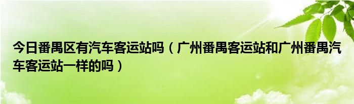 今日番禺区有汽车客运站吗（广州番禺客运站和广州番禺汽车客运站一样的吗）