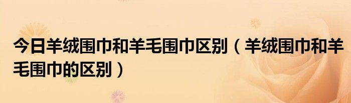 今日羊绒围巾和羊毛围巾区别（羊绒围巾和羊毛围巾的区别）