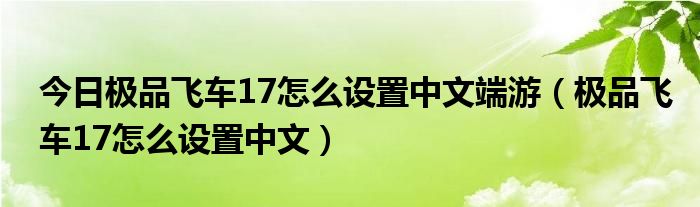 今日极品飞车17怎么设置中文端游（极品飞车17怎么设置中文）