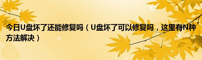 今日U盘坏了还能修复吗（U盘坏了可以修复吗，这里有N种方法解决）