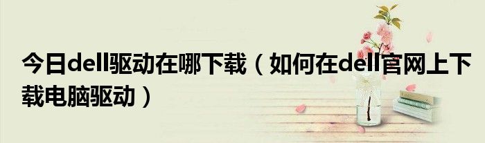 今日dell驱动在哪下载（如何在dell官网上下载电脑驱动）