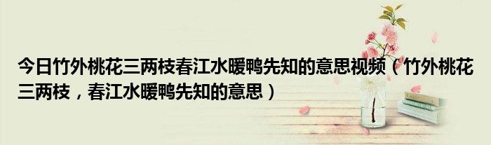 今日竹外桃花三两枝春江水暖鸭先知的意思视频（竹外桃花三两枝，春江水暖鸭先知的意思）