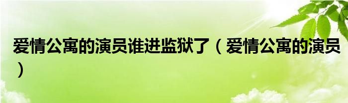 爱情公寓的演员谁进监狱了（爱情公寓的演员）