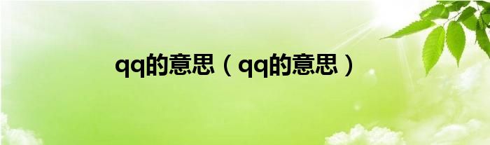 qq的意思（qq的意思）