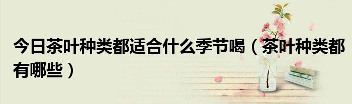 今日茶叶种类都适合什么季节喝（茶叶种类都有哪些）