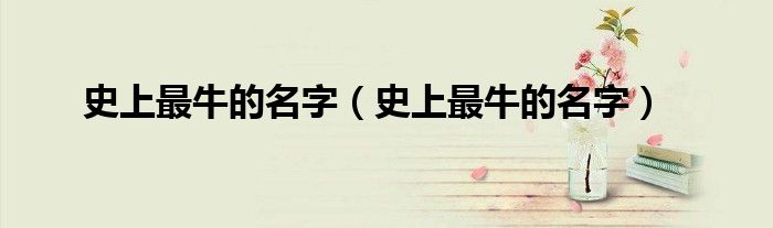 史上最牛的名字（史上最牛的名字）