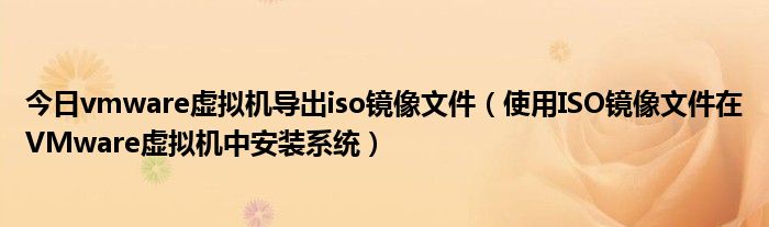 今日vmware虚拟机导出iso镜像文件（使用ISO镜像文件在VMware虚拟机中安装系统）