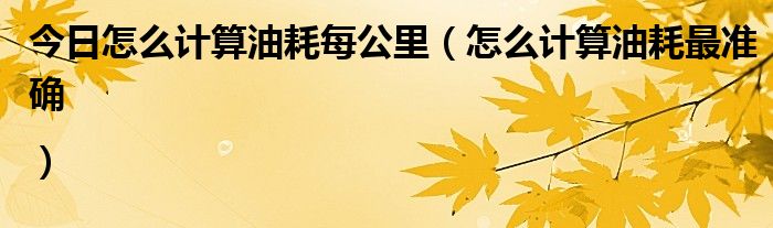 今日怎么计算油耗每公里（怎么计算油耗最准确|）