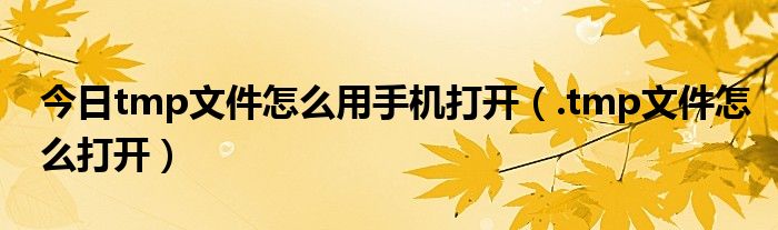 今日tmp文件怎么用手机打开（.tmp文件怎么打开）