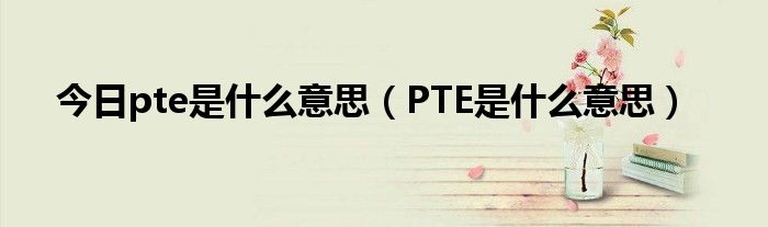 今日pte是什么意思（PTE是什么意思）