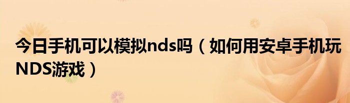 今日手机可以模拟nds吗（如何用安卓手机玩NDS游戏）