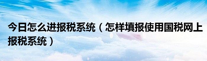 今日怎么进报税系统（怎样填报使用国税网上报税系统）