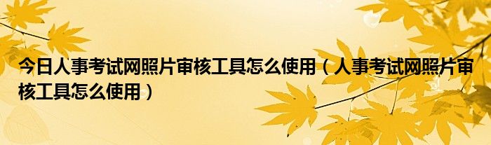 今日人事考试网照片审核工具怎么使用（人事考试网照片审核工具怎么使用）