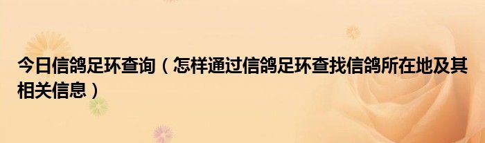 今日信鸽足环查询（怎样通过信鸽足环查找信鸽所在地及其相关信息）