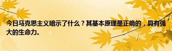 今日马克思主义暗示了什么？其基本原理是正确的，具有强大的生命力。
