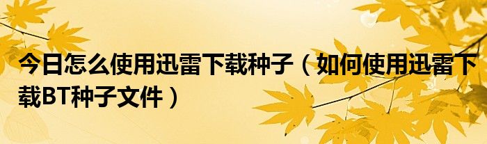 今日怎么使用迅雷下载种子（如何使用迅雷下载BT种子文件）