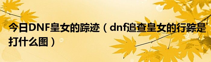 今日DNF皇女的踪迹（dnf追查皇女的行踪是打什么图）