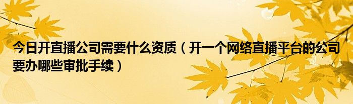 今日开直播公司需要什么资质（开一个网络直播平台的公司要办哪些审批手续）