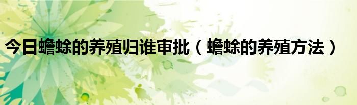 今日蟾蜍的养殖归谁审批（蟾蜍的养殖方法）