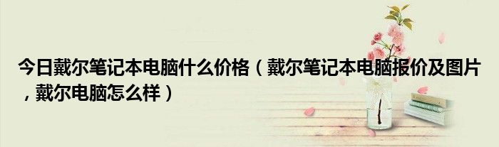 今日戴尔笔记本电脑什么价格（戴尔笔记本电脑报价及图片，戴尔电脑怎么样）