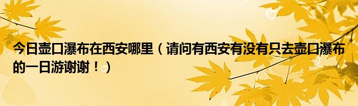 今日壶口瀑布在西安哪里（请问有西安有没有只去壶口瀑布的一日游谢谢！）