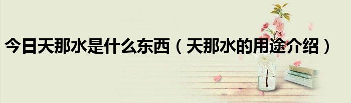 今日天那水是什么东西（天那水的用途介绍）