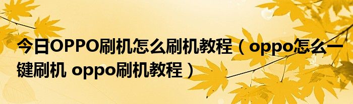 今日OPPO刷机怎么刷机教程（oppo怎么一键刷机 oppo刷机教程）