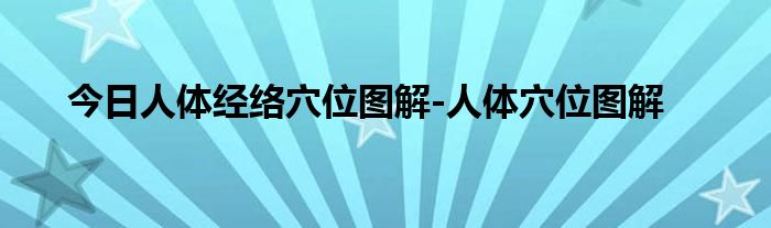 今日人体经络穴位图解-人体穴位图解