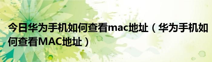 今日华为手机如何查看mac地址（华为手机如何查看MAC地址）