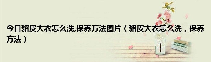 今日貂皮大衣怎么洗,保养方法图片（貂皮大衣怎么洗，保养方法）