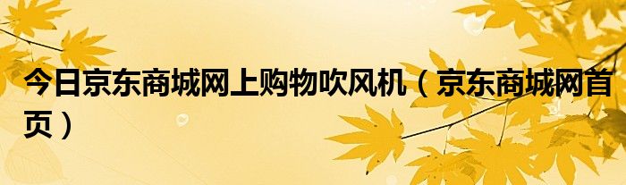 今日京东商城网上购物吹风机（京东商城网首页）