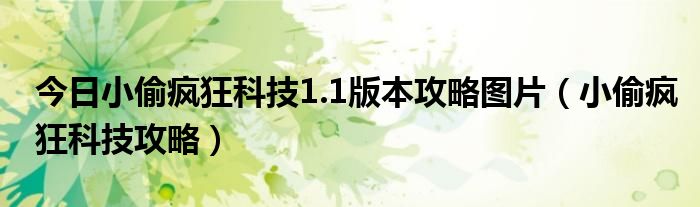 今日小偷疯狂科技1.1版本攻略图片（小偷疯狂科技攻略）