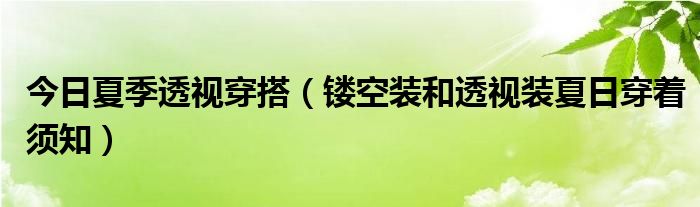 今日夏季透视穿搭（镂空装和透视装夏日穿着须知）