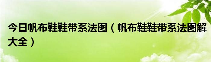 今日帆布鞋鞋带系法图（帆布鞋鞋带系法图解大全）