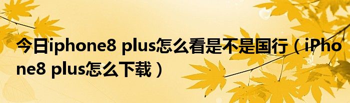 今日iphone8 plus怎么看是不是国行（iPhone8 plus怎么下载）