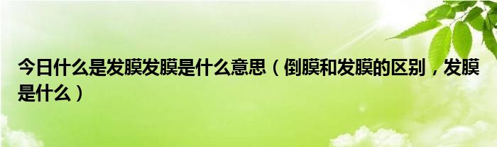 今日什么是发膜发膜是什么意思（倒膜和发膜的区别，发膜是什么）