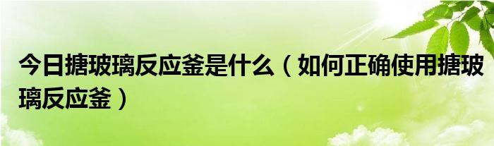 今日搪玻璃反应釜是什么（如何正确使用搪玻璃反应釜）