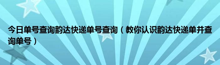 今日单号查询韵达快递单号查询（教你认识韵达快递单并查询单号）
