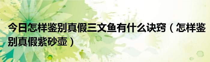 今日怎样鉴别真假三文鱼有什么诀窍（怎样鉴别真假紫砂壶）