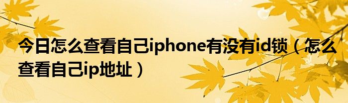今日怎么查看自己iphone有没有id锁（怎么查看自己ip地址）