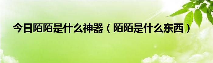 今日陌陌是什么神器（陌陌是什么东西）
