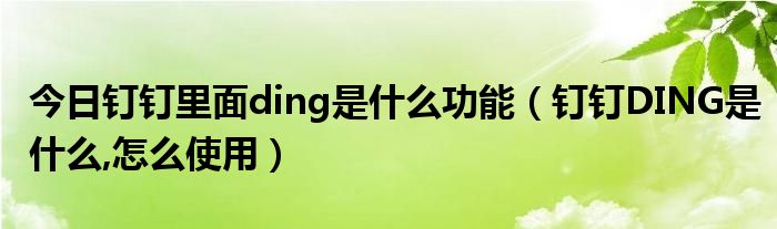 今日钉钉里面ding是什么功能（钉钉DING是什么,怎么使用）