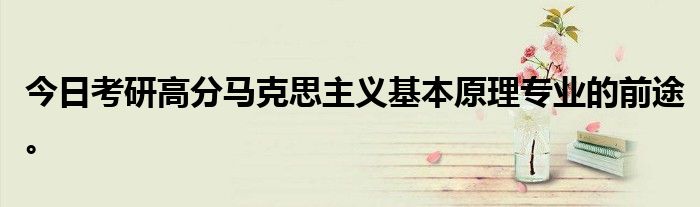 今日考研高分马克思主义基本原理专业的前途。