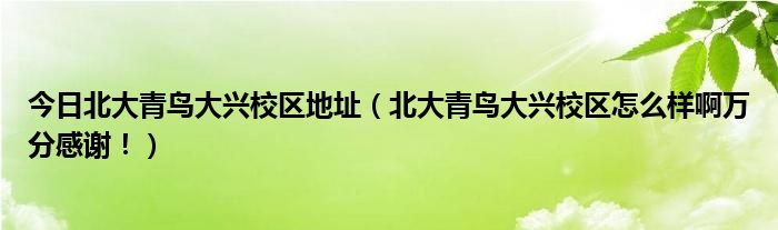 今日北大青鸟大兴校区地址（北大青鸟大兴校区怎么样啊万分感谢！）