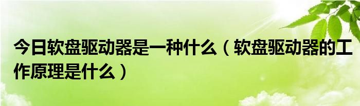 今日软盘驱动器是一种什么（软盘驱动器的工作原理是什么）