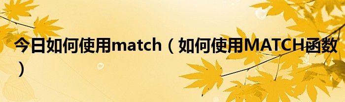 今日如何使用match（如何使用MATCH函数）