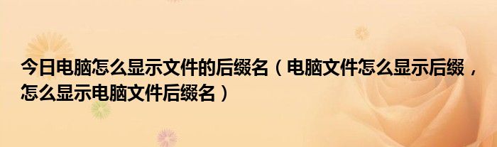 今日电脑怎么显示文件的后缀名（电脑文件怎么显示后缀，怎么显示电脑文件后缀名）
